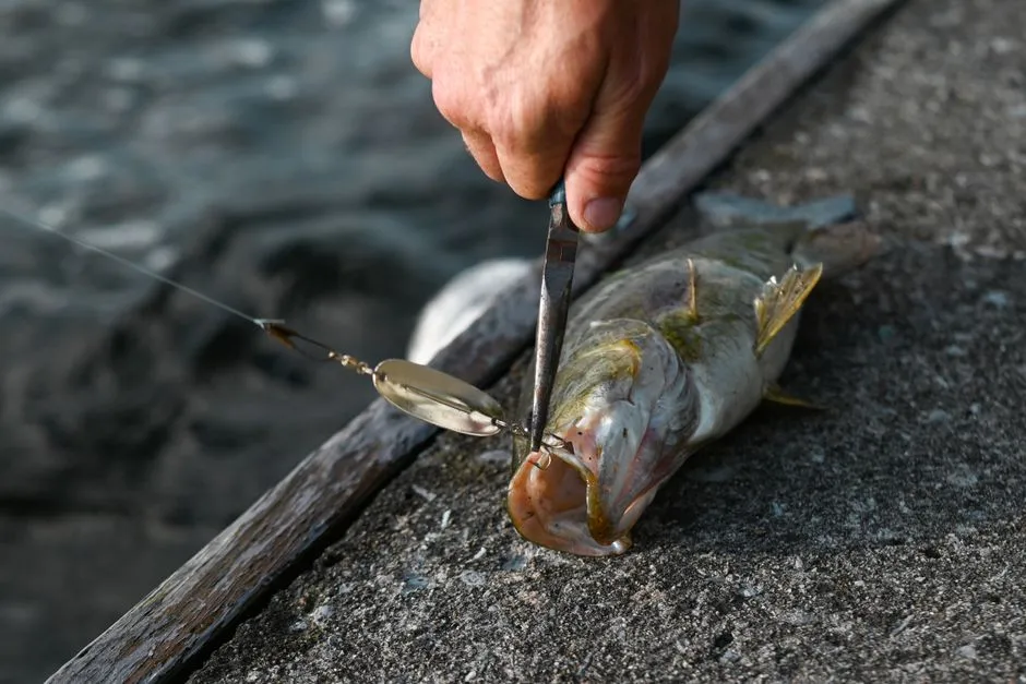 How to Recycle Fishing Line: Check the Program